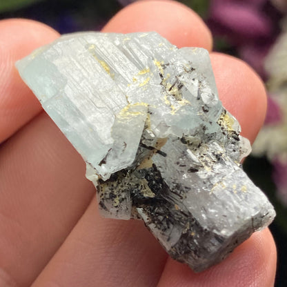 Black Tourmaline in Aquamarine Crystal