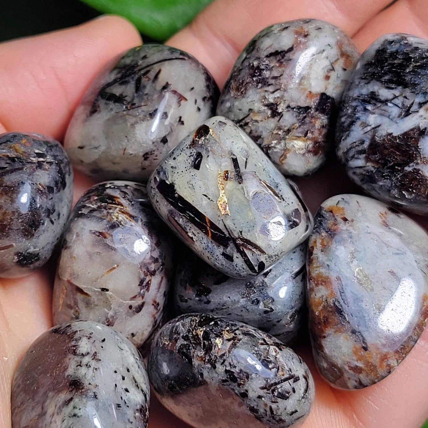Astrophyllite Crystal
