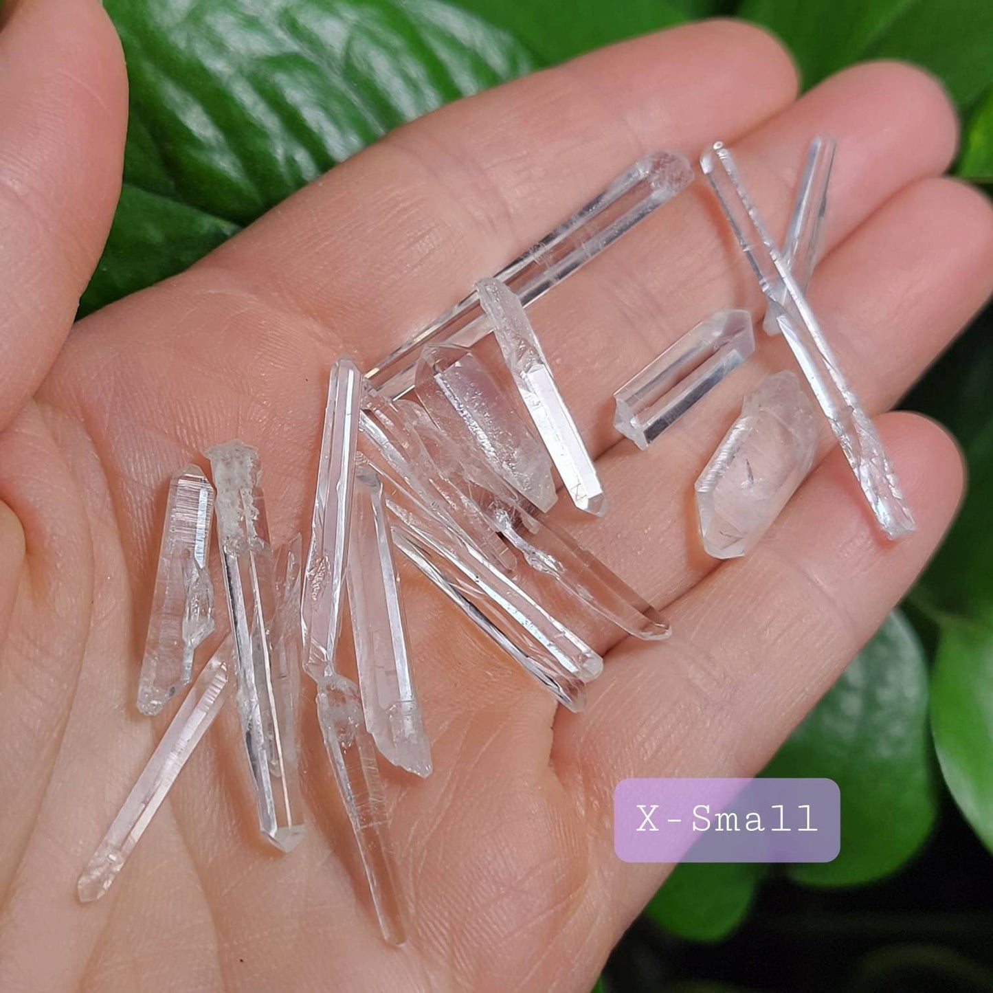 Lemurian Seed Crystal