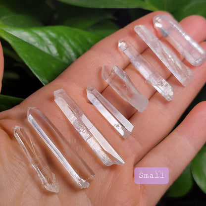 Lemurian Seed Crystal
