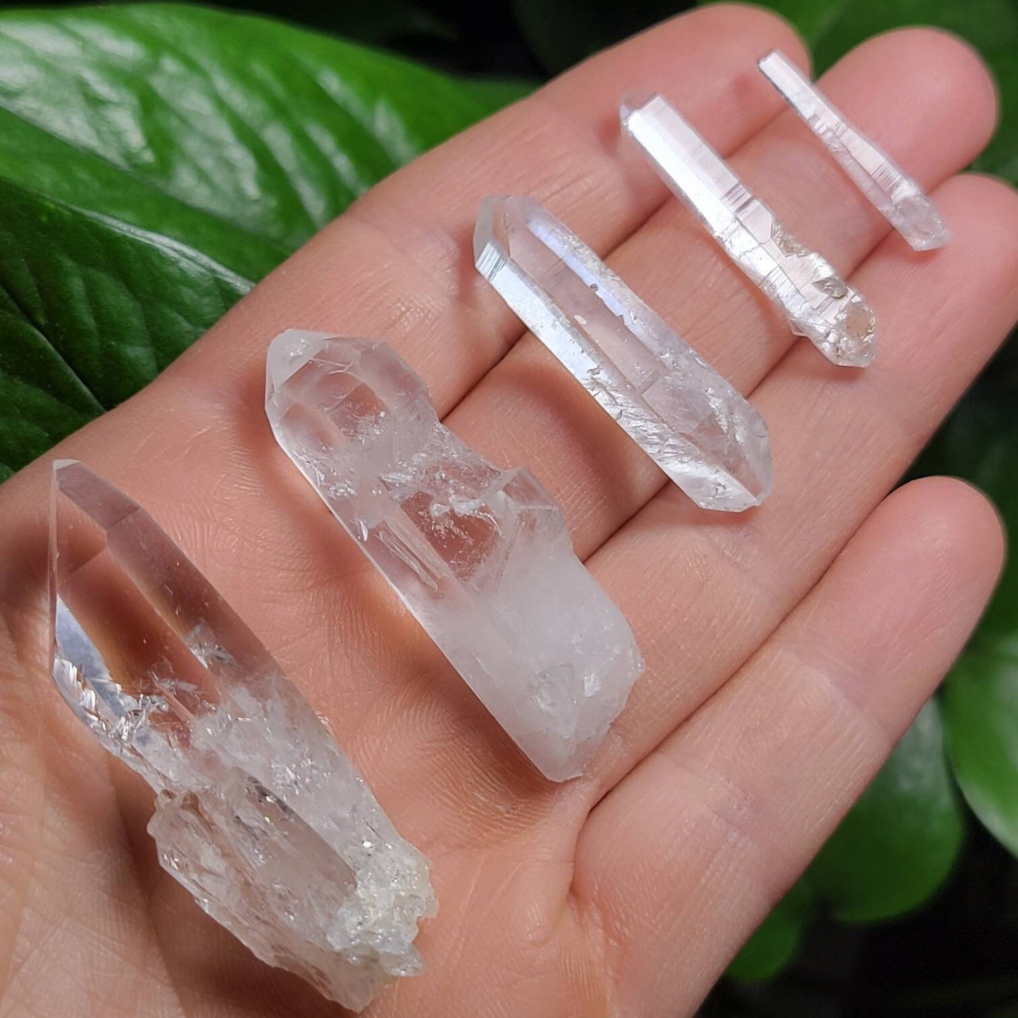 Lemurian Seed Crystal