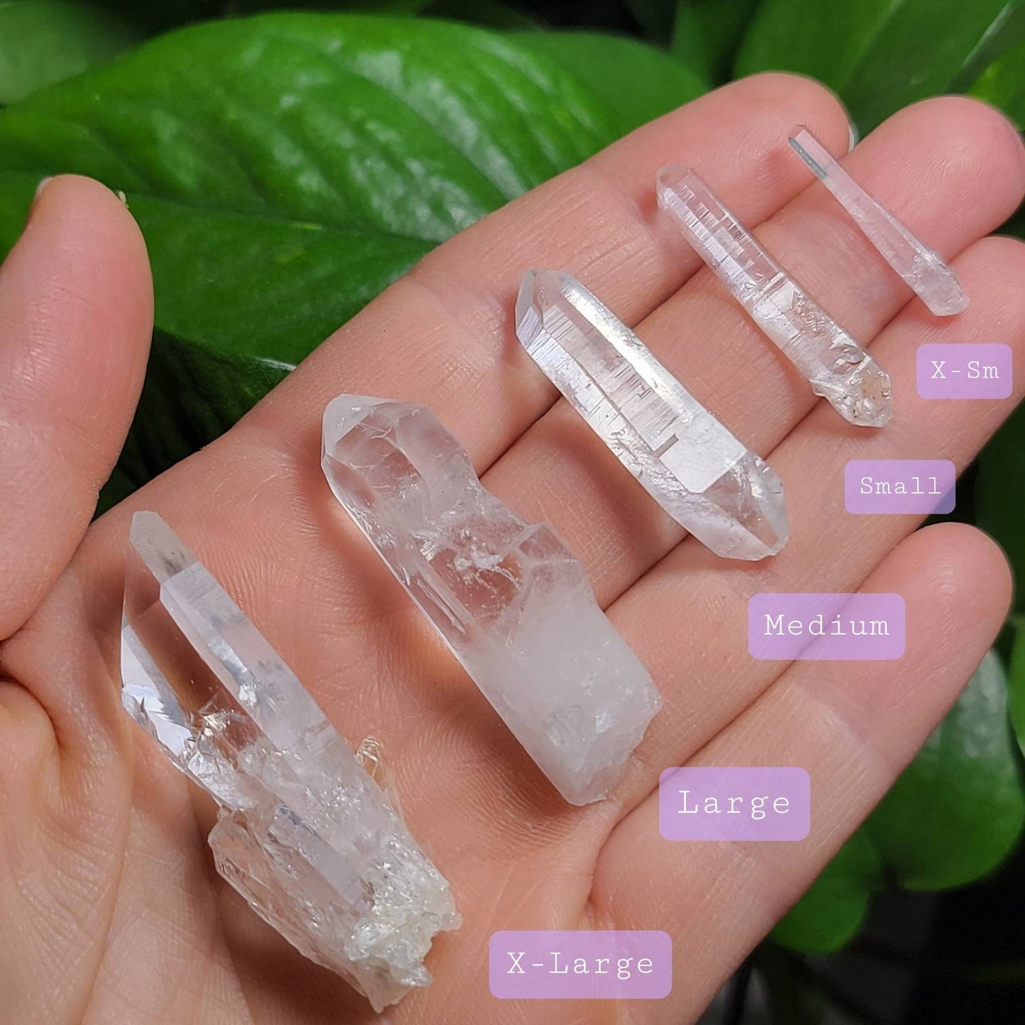 Lemurian Seed Crystal