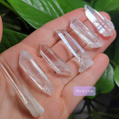 Lemurian Seed Crystal