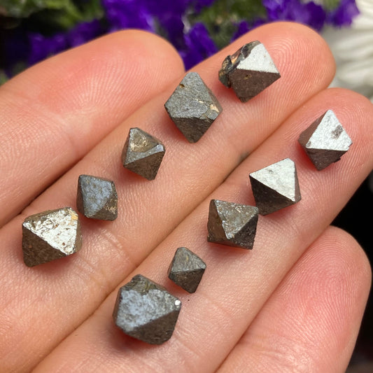 Magnetite Crystals