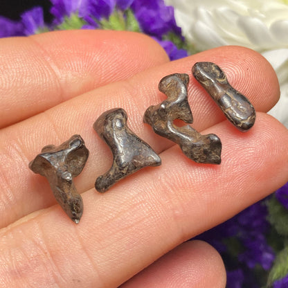 Meteorite