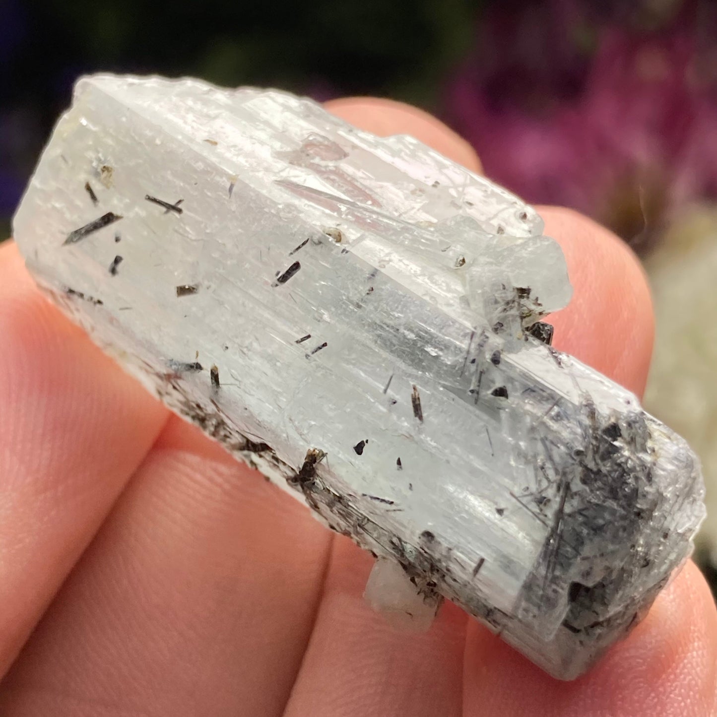 Black Tourmaline in Aquamarine Crystal