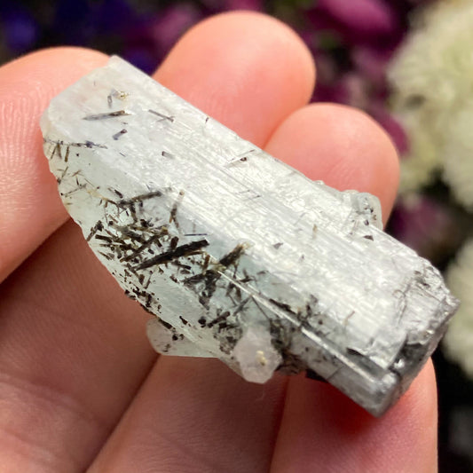Black Tourmaline in Aquamarine Crystal