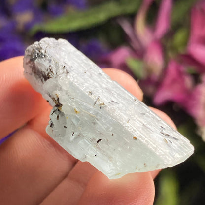 Black Tourmaline in Aquamarine Crystal