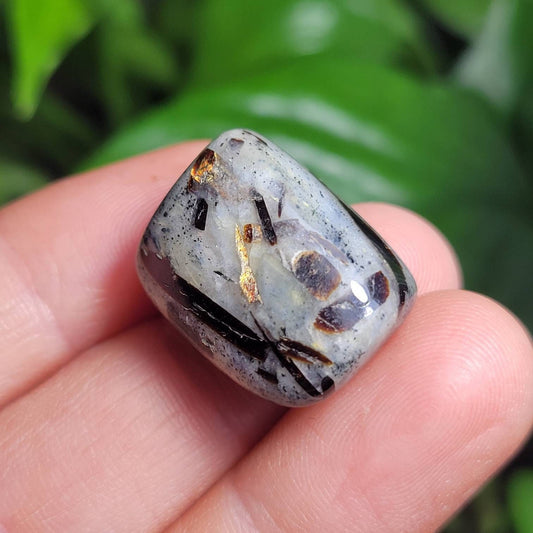 Astrophyllite Crystal