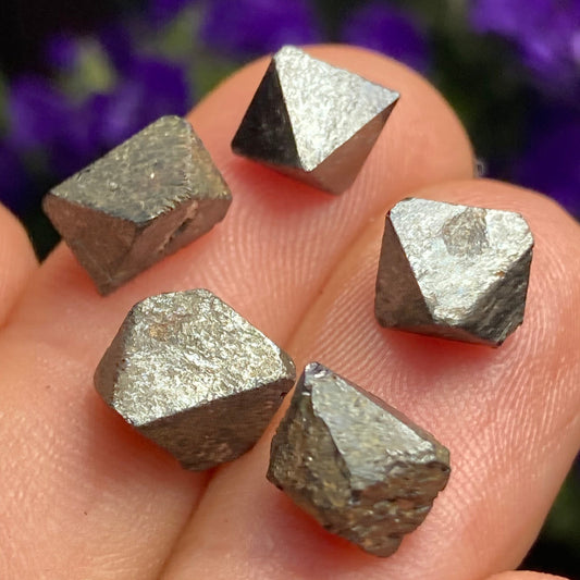 Magnetite Specimens (Set of 5)
