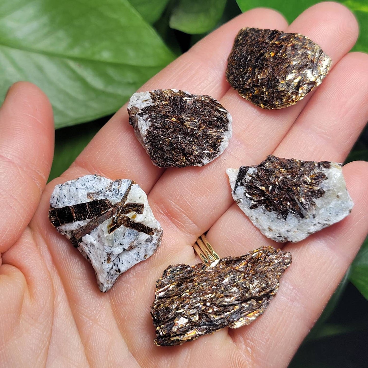 Astrophyllite Crystal