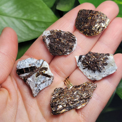 Astrophyllite Crystal