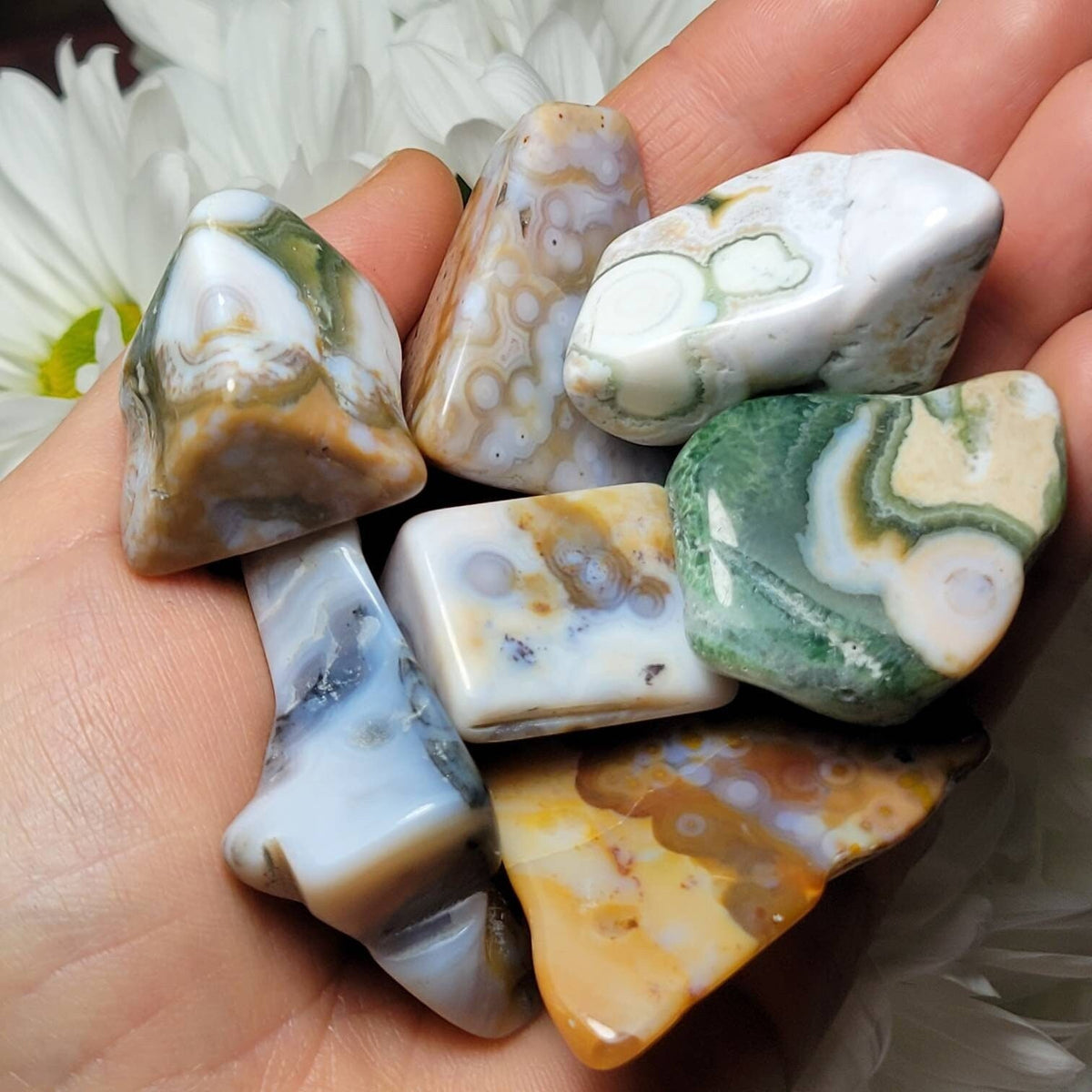 Vein 8 Ocean Jasper RARE