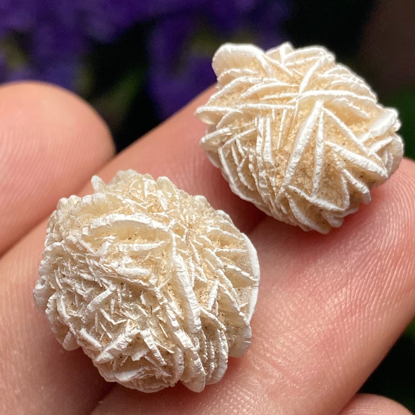 Desert Rose Crystal