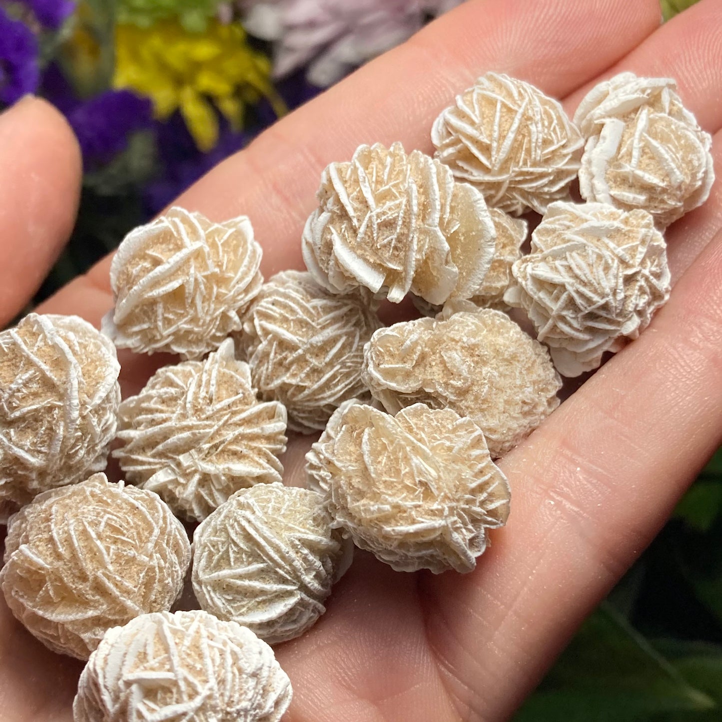 Barite Desert Rose
