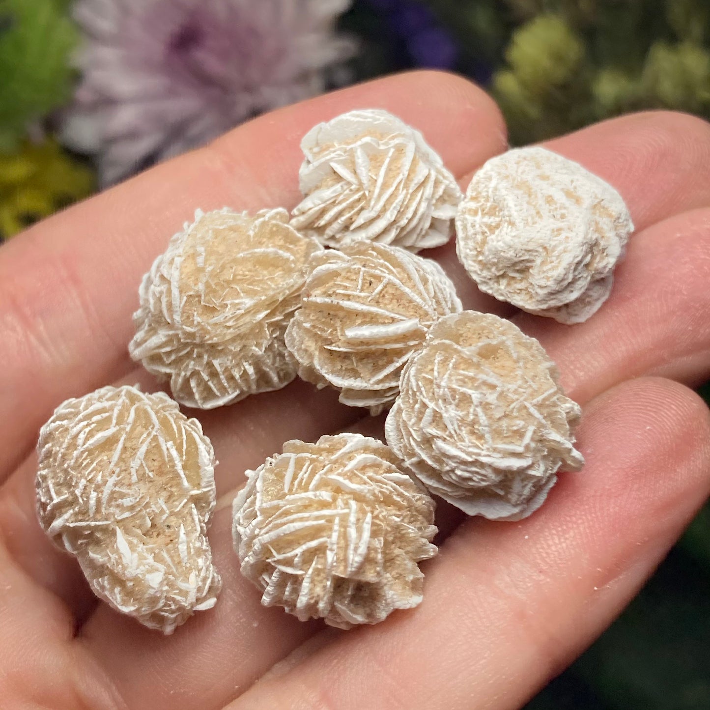 Barite Desert Rose