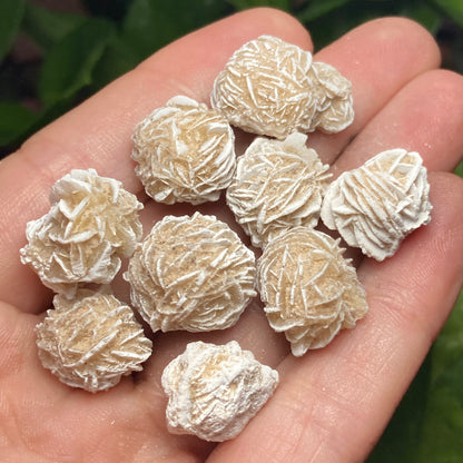 Desert Rose Crystal