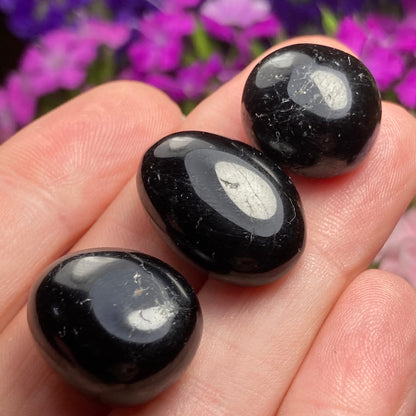 Black Tourmaline Crystal