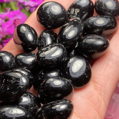 Black Tourmaline Crystal
