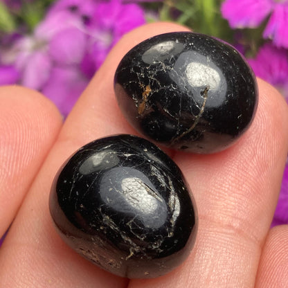 Black Tourmaline Crystal