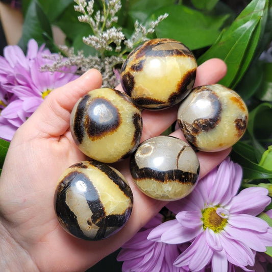 Septarian Geode