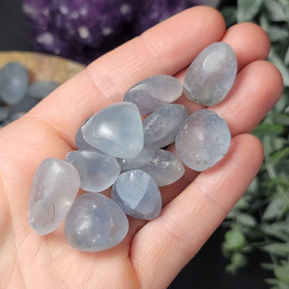 Polished Celestite Crystal