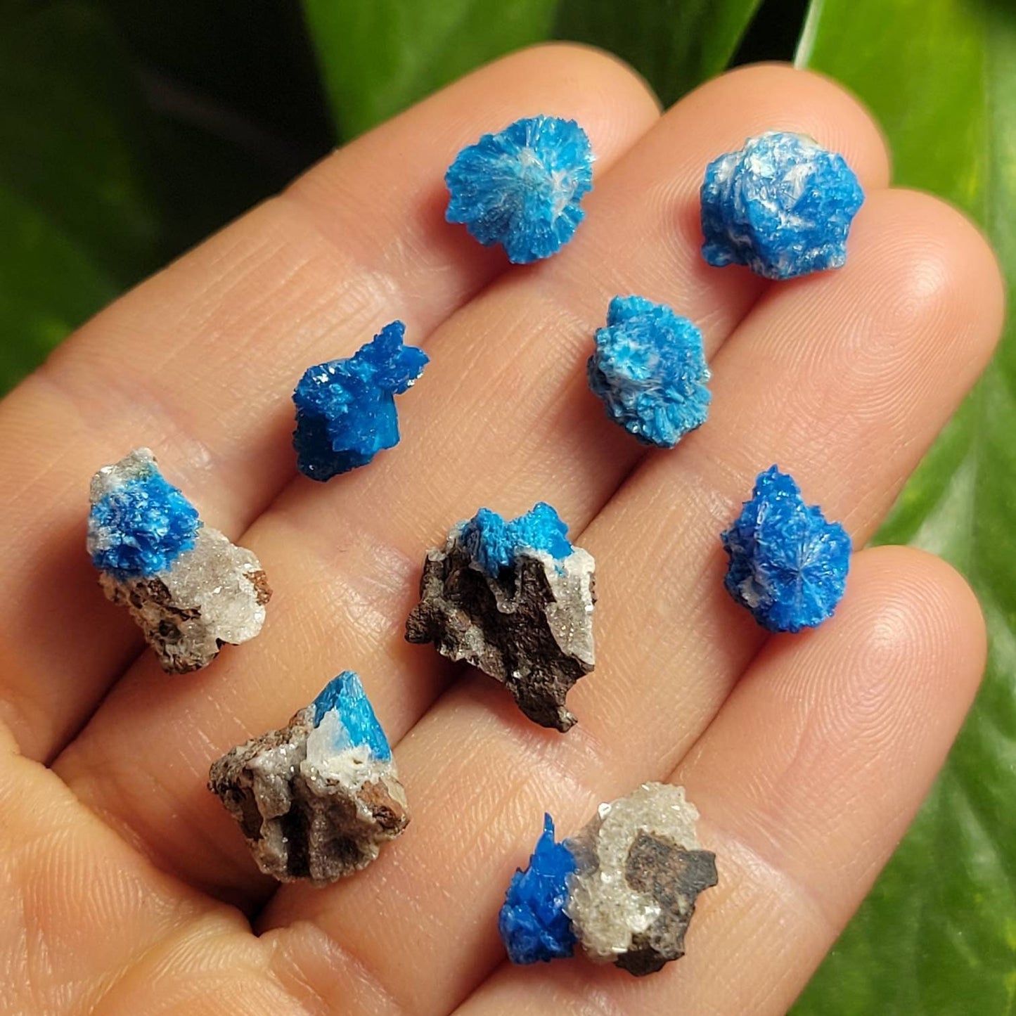 Cavansite