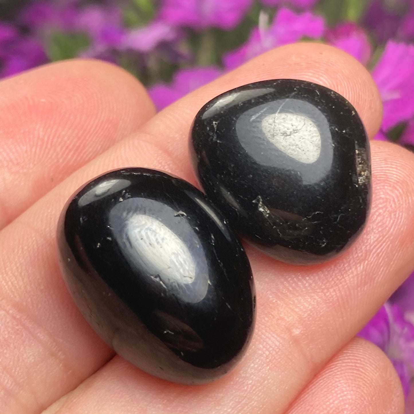 Black Tourmaline Crystal