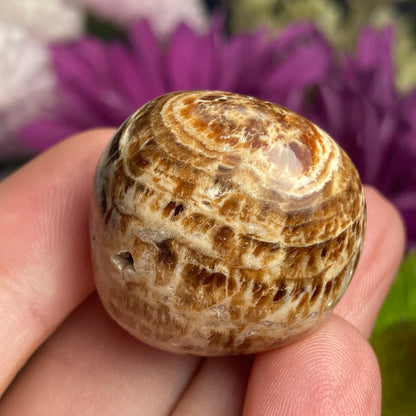 Brown Aragonite Tumbled Crystal from Peru (1"), Polished Aragonite Stone Specimen