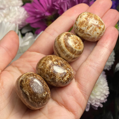 Brown Aragonite Tumbled Crystal from Peru (1"), Polished Aragonite Stone Specimen