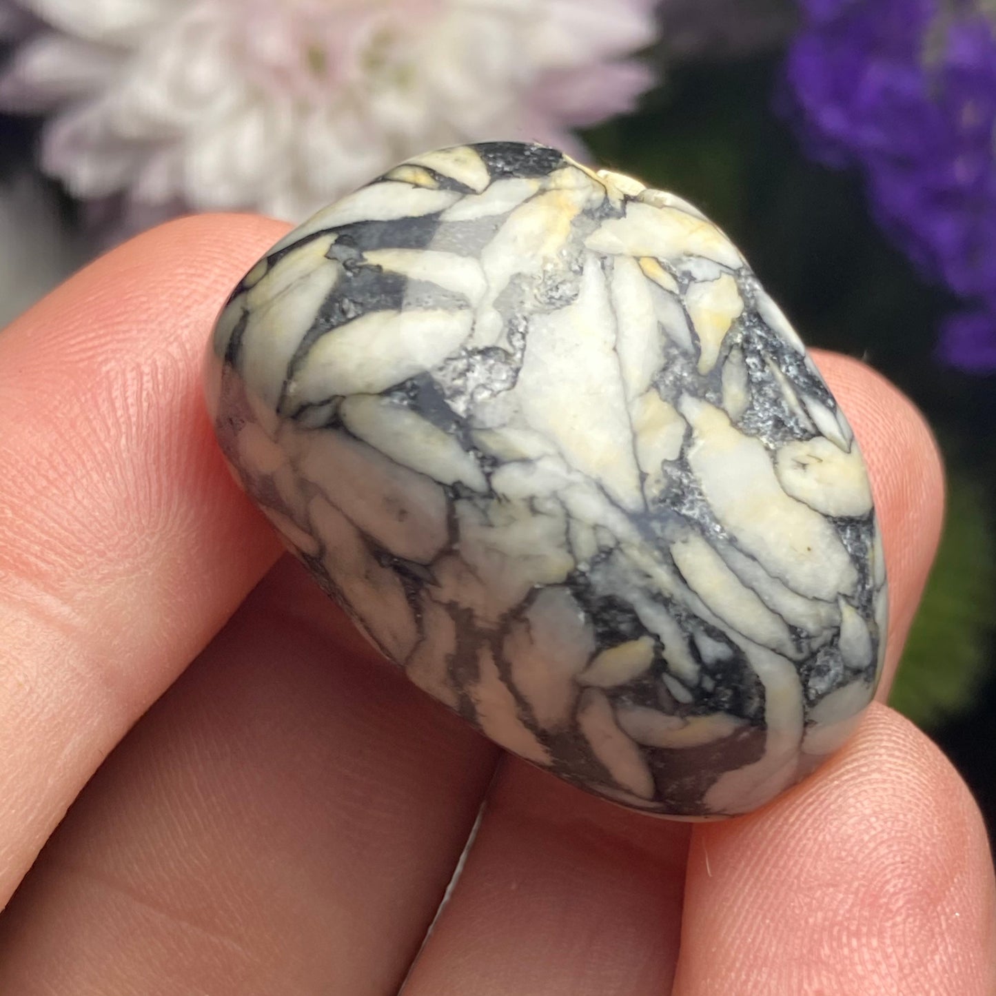 Pinolite Crystal (0.75
