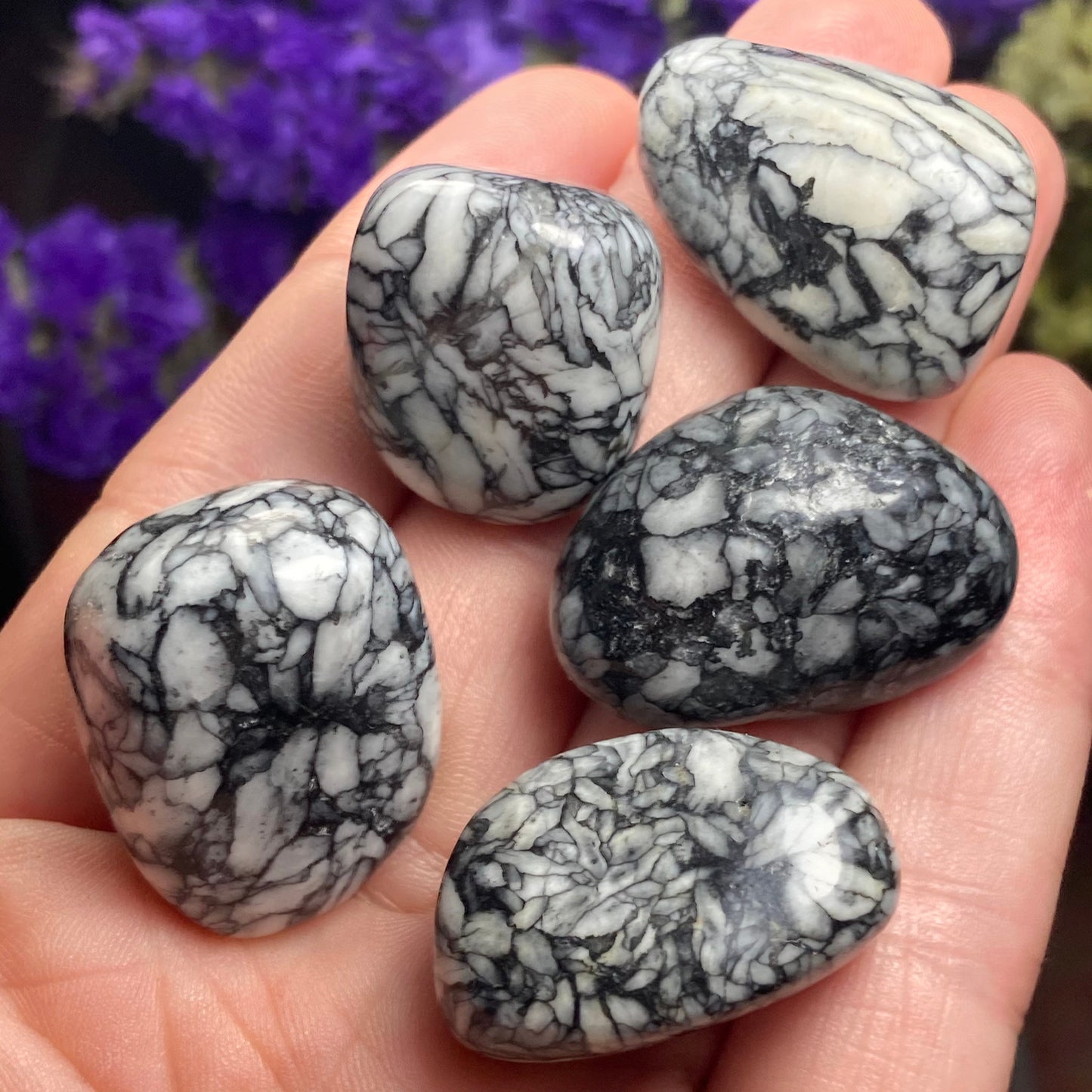 Pinolite Crystal (0.75