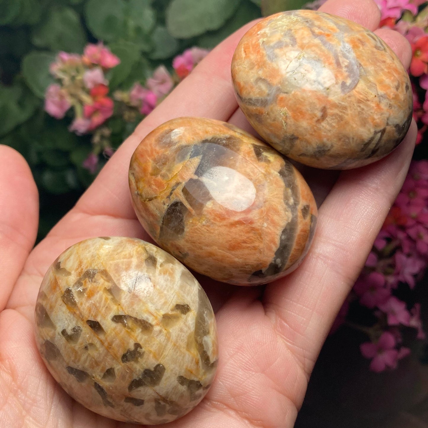 Zebradorite Crystal