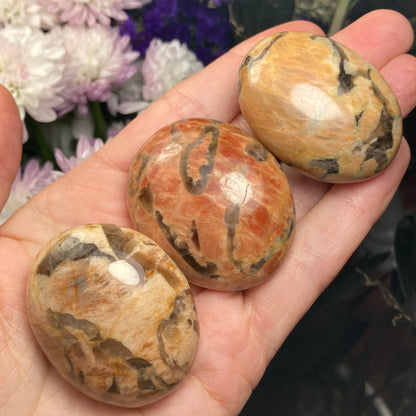 Zebradorite Crystal