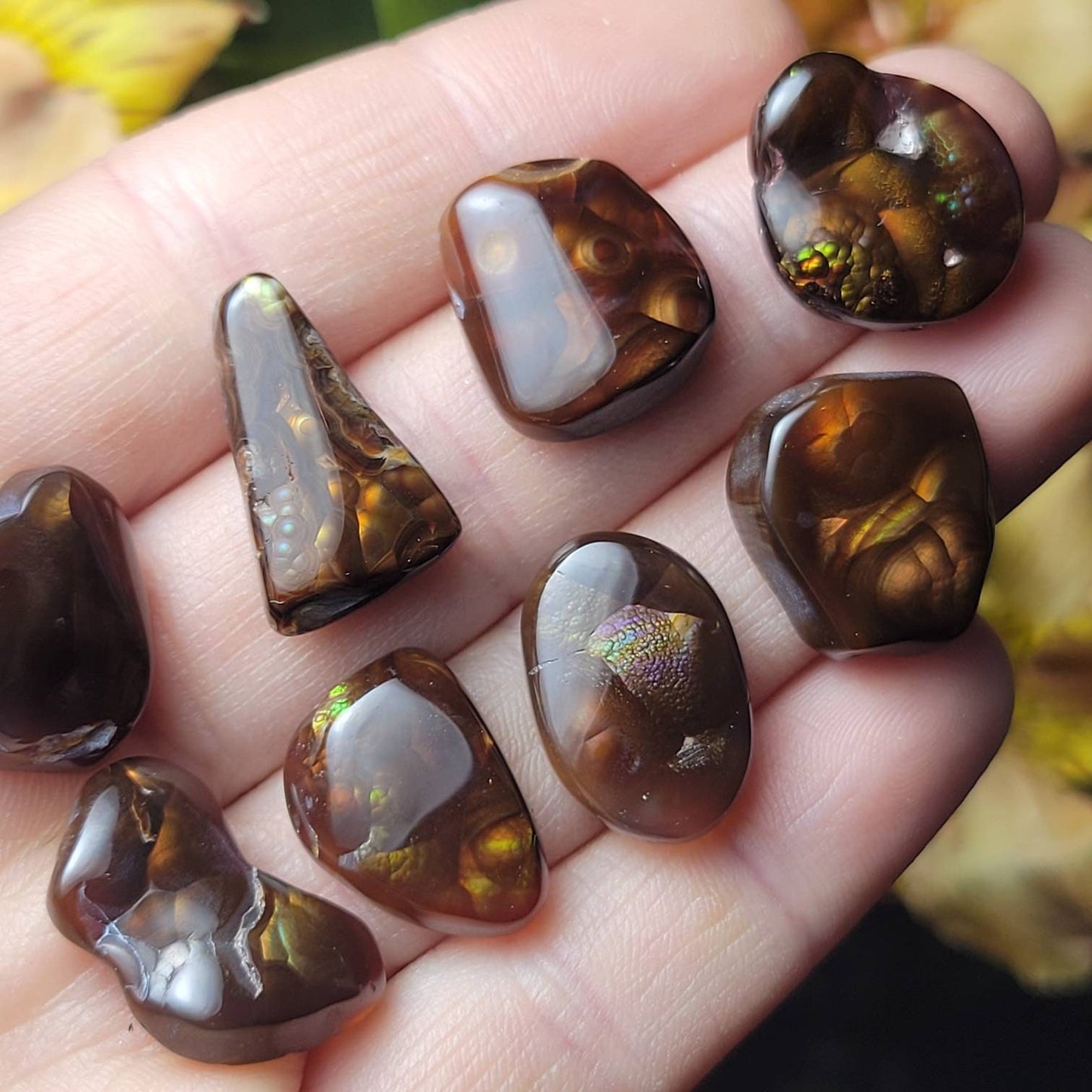 Mexican Fire Agate, Rainbow Fire Agate Polished Specimens