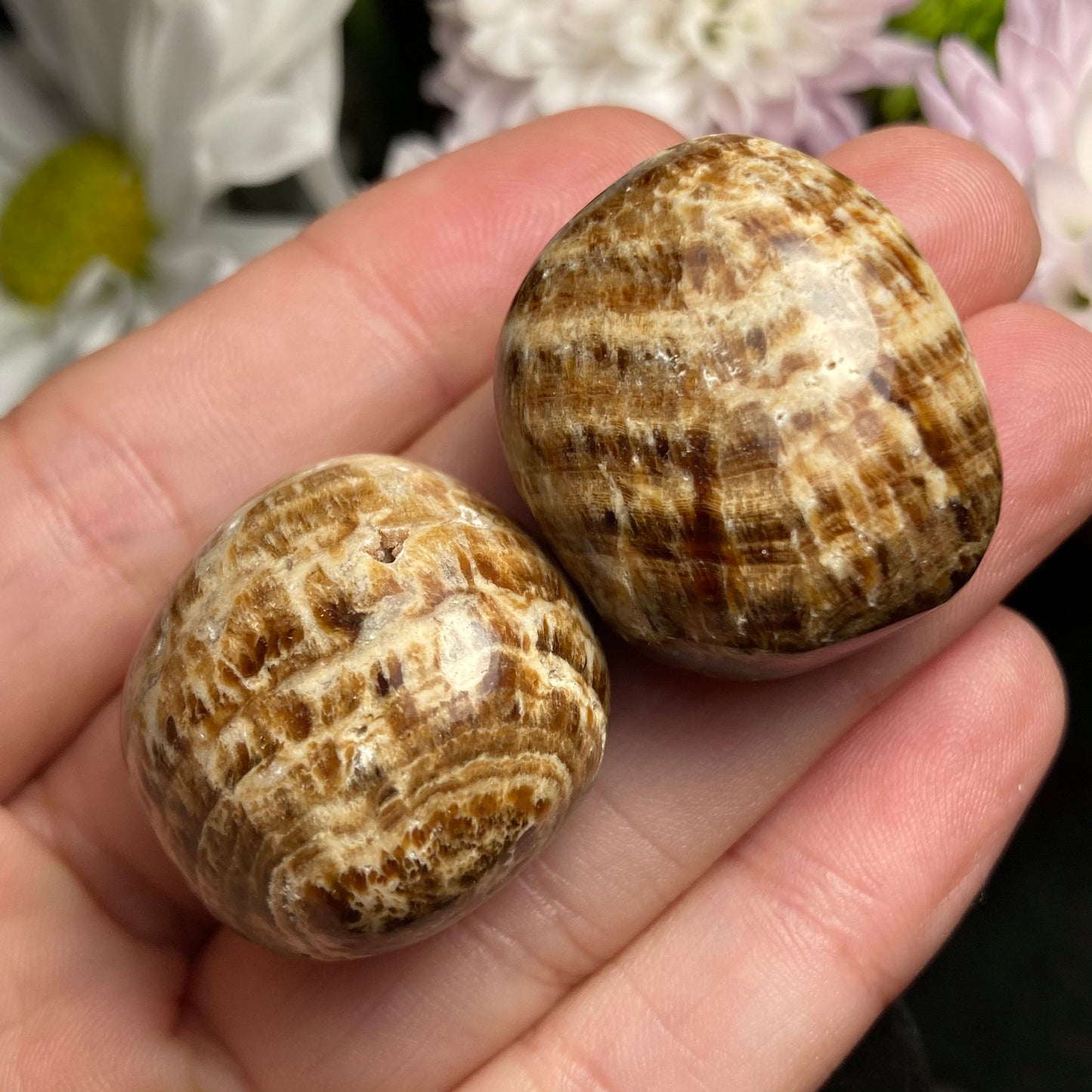 Brown Aragonite Tumbled Crystal from Peru (1"), Polished Aragonite Stone Specimen