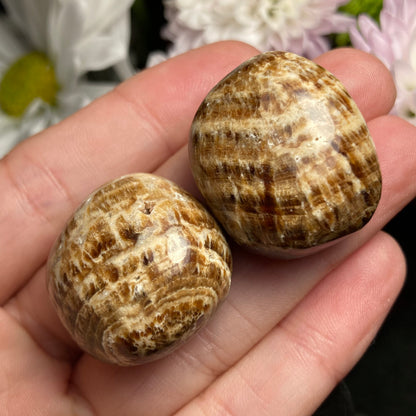 Brown Aragonite Tumbled Crystal from Peru (1"), Polished Aragonite Stone Specimen