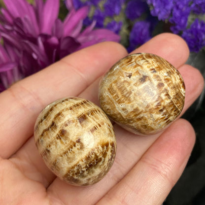 Brown Aragonite Tumbled Crystal from Peru (1"), Polished Aragonite Stone Specimen