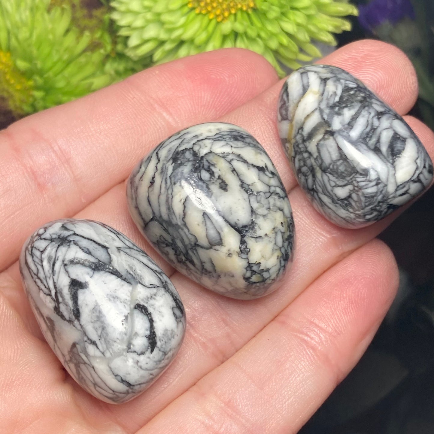Pinolite Crystal (0.75