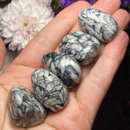 Pinolite Crystal (0.75
