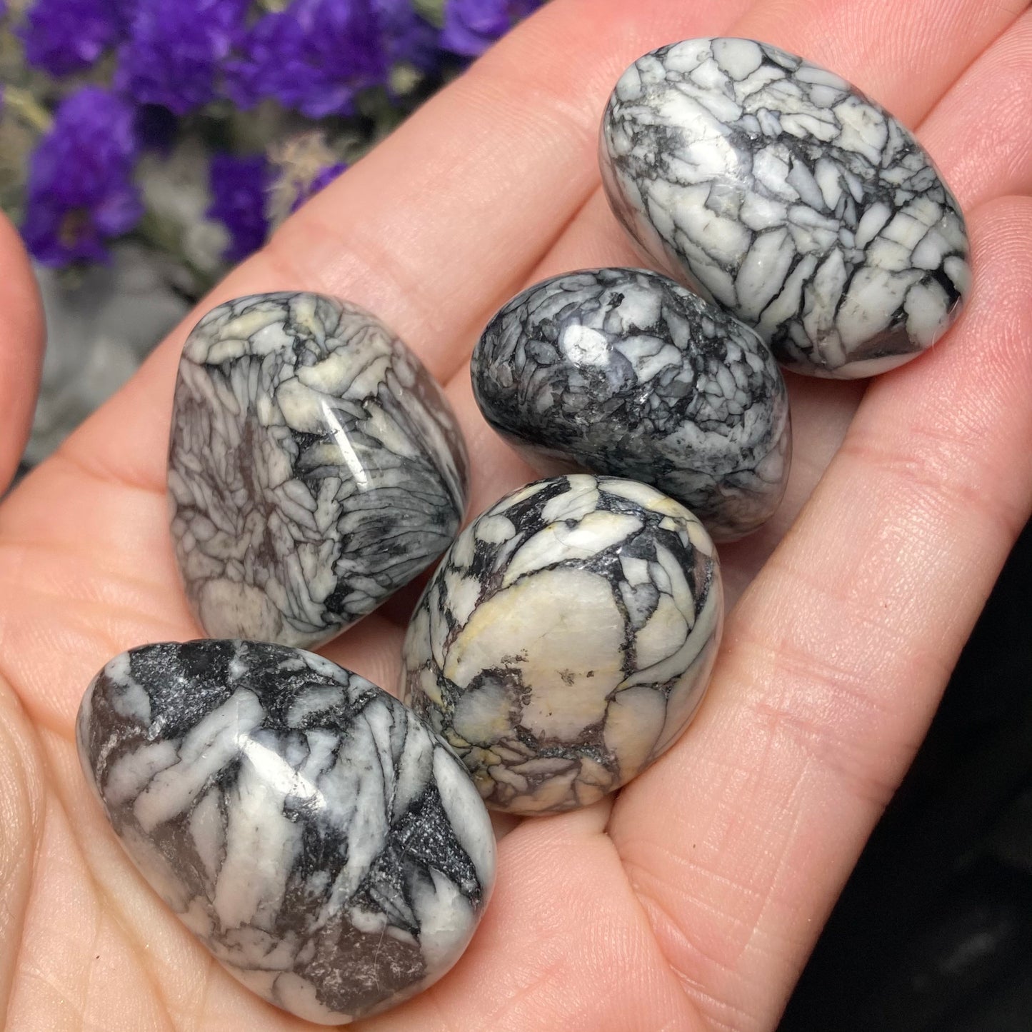 Pinolite Crystal (0.75