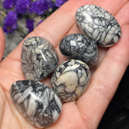 Pinolite Crystal (0.75