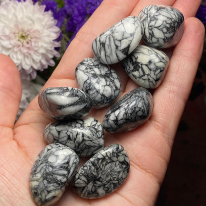 Pinolite Crystal (0.75