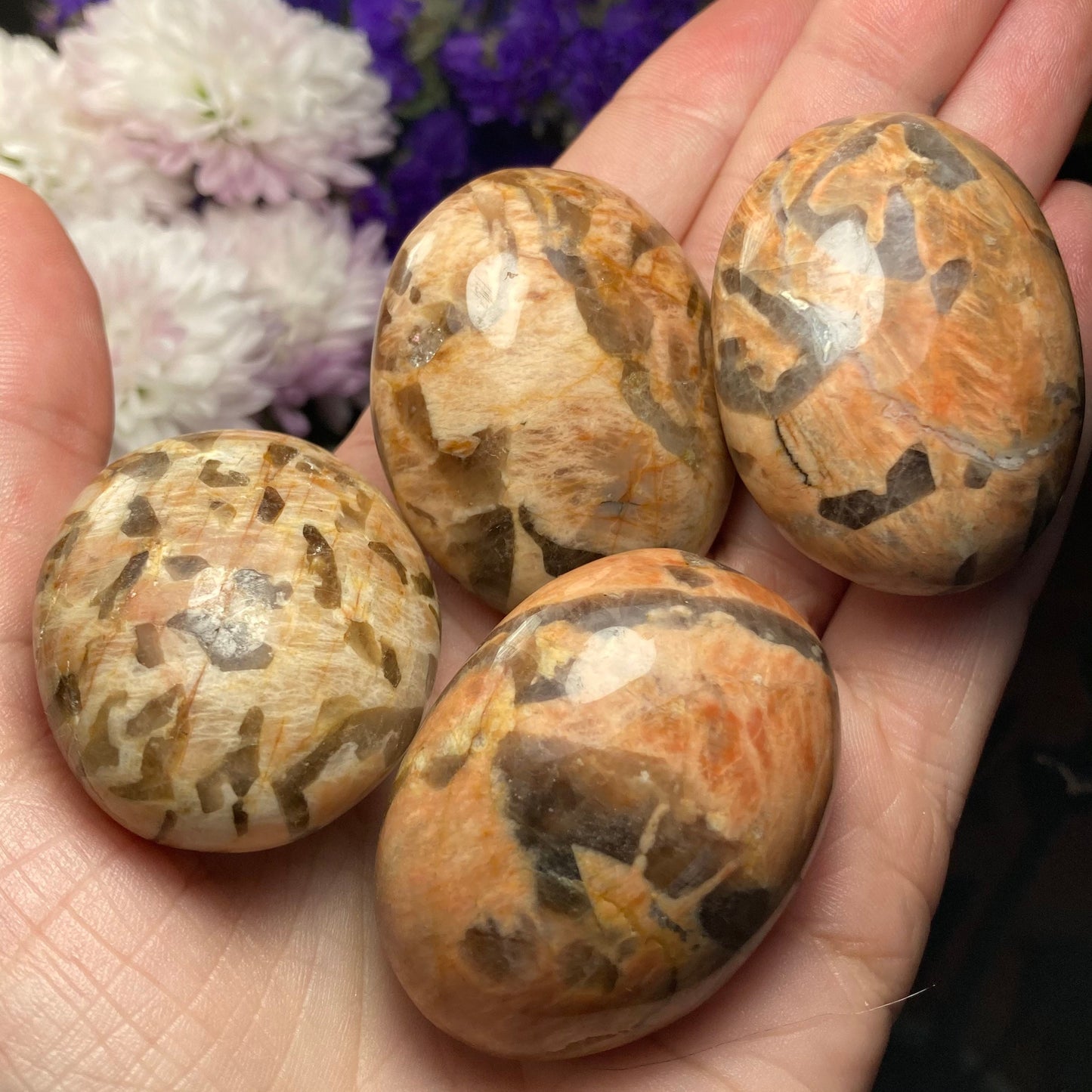 Zebradorite Crystal