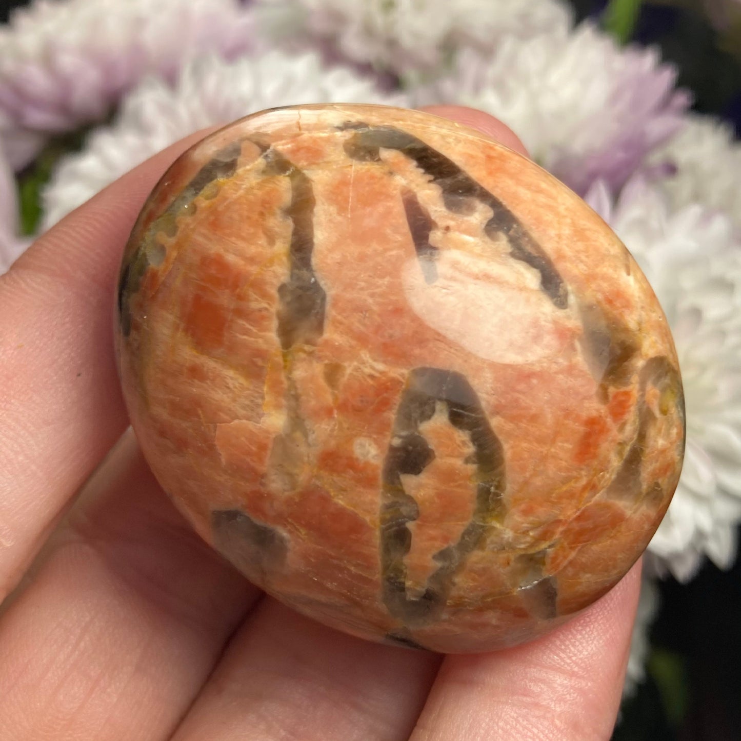 Zebradorite Crystal