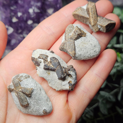 Staurolite Crystal
