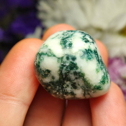 Tree Agate Crystal