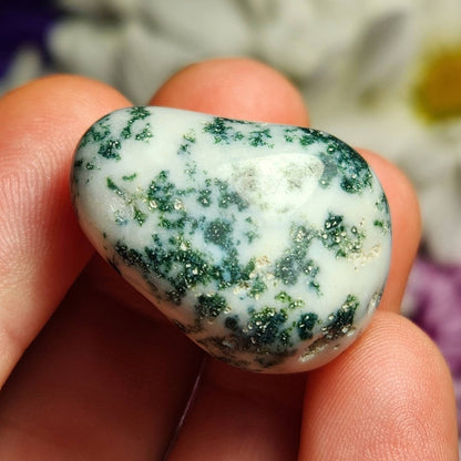 Tree Agate Crystal