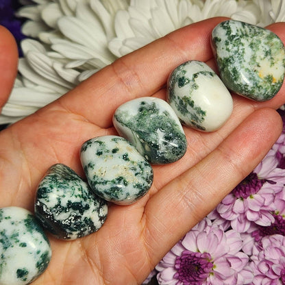 Tree Agate Crystal