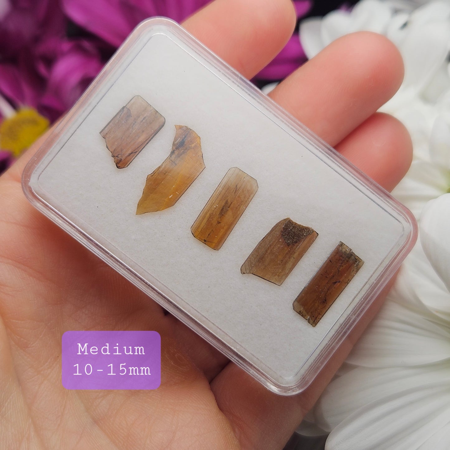 Brookite Blade Specimens